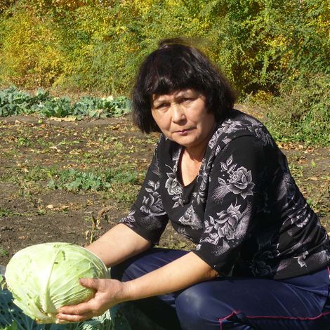 Зинаида Константиновна Сарсенова, учитель Хорошковской школы, за любимым делом - сбором урожая