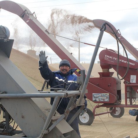 Рабочий тока Б. Ахметбеков занят перевалкой зерна в буртах